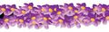 R1 site flowers.jpg