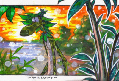 Willowy.jpg