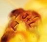 R2 - J+L.jpg