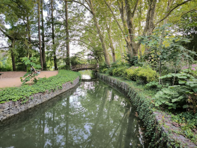mini river.jpg