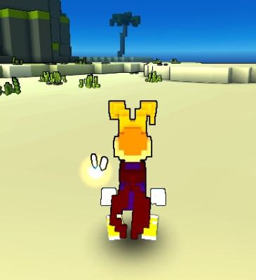 Ray mod back.jpg