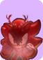 No Time For Reindeer Games Rank.png