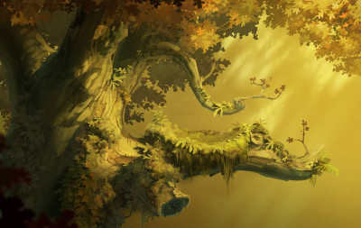 toadstoryautumnconcept2.jpg