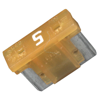0891005.NXT.jpg