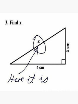 find_x.jpg