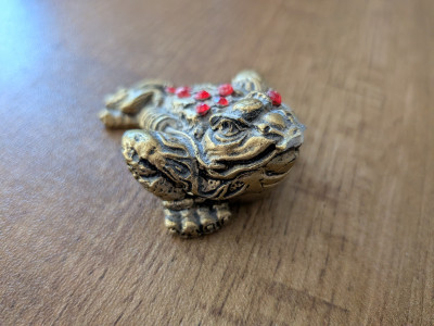 money-frog.jpg