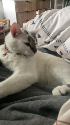 IMG_6197.jpeg