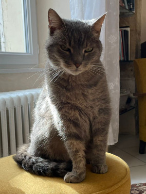 Marcel-as-decoration.jpg