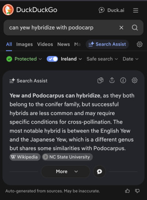 Duck.ai response to query "can yew hybridize with podocarp"