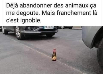 FB_IMG_1779783031621.jpg