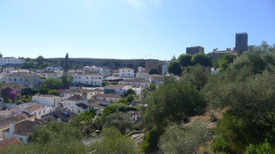 P1010830.JPG