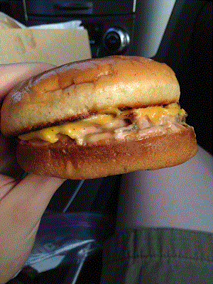 IMG_0126.gif