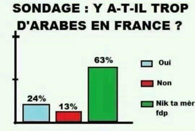 Sondage : y a-t-il trop d'Arabes en France ?