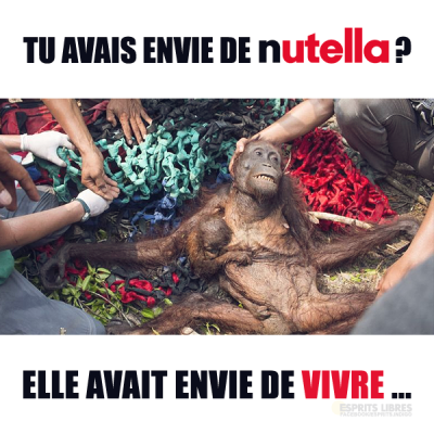 c tro triiste nik la societer de CONsomassion