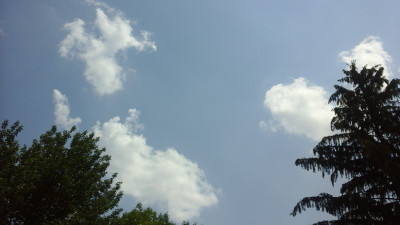 20180706_122054.jpg