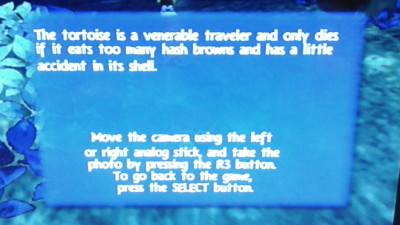 Tortoise description.jpg