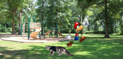 Ray Plumber with a cat on a leash.png