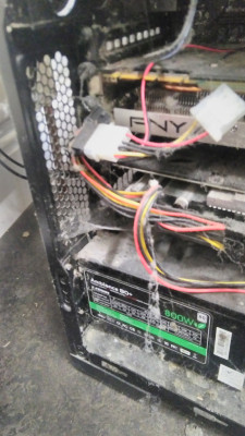 Could someone please explain how spiders got into my case, or why they felt comfortable building webs in a like 50 °C environment??