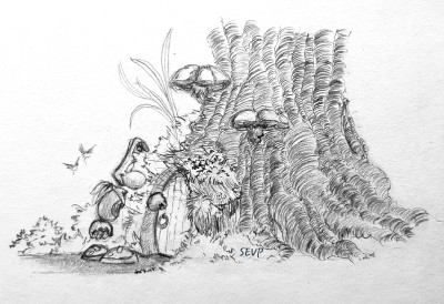 Visiting a Fairy