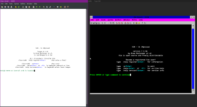 Left: GVim running on Linux using GTK theme "Adwaita-magenta-dark"<br />Right: GVim running on Windows 3.1 with system theme set to "Plasma Power Saver"