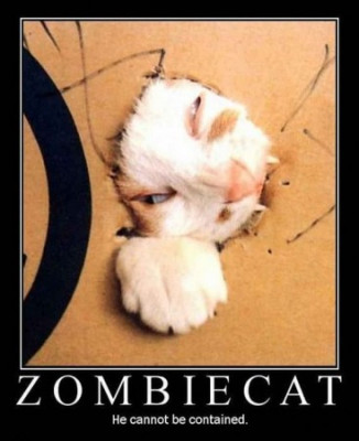 Zombie Cat.jpg