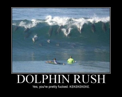Dolphin Rush.jpg