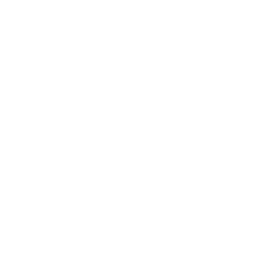 typoray3.png
