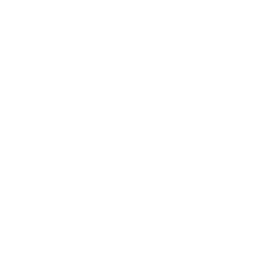 typoray3.png