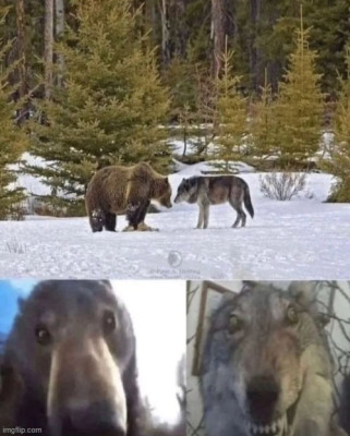7x0nv8.jpg