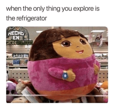 the-only-thing-you-explore-is-the-refrigerator-above-a-pic-of-a-very-fat-dora-the-explorer-pillow.png