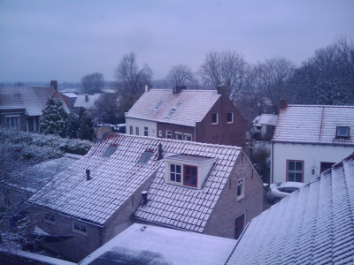 snoeueuew.jpg