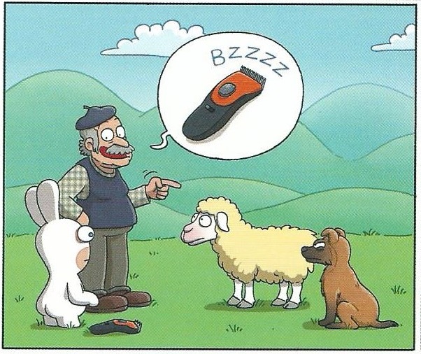 Fichier:Givrés! Sheep.jpg