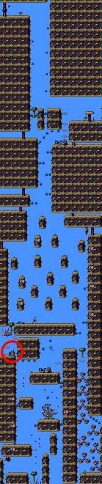 PC version