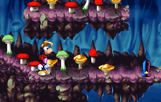 Des champignons dans les Caves de Skops