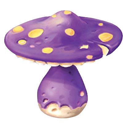 Fichier:R1 site mushroom.jpg