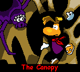 The Canopy