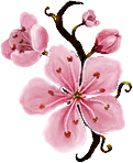 Fichier:Cherry Blossom.png