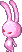 Lapin rose