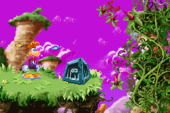 Une cage Pirate de la version Game Boy Advance de Rayman 3.