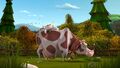 Une vache.