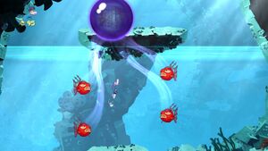 Swimming with Stars 16.jpg