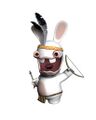 Un Lapin Digène.