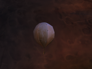 Balloon R3.png