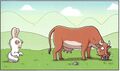 Une vache dans Renversant !.