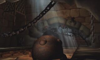 Des chauves-souris dans la cave du manoir de Razoff.