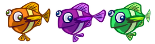 Des poissons amicaux.