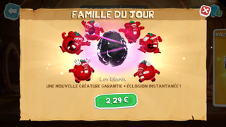 Le Pack Famille du Jour dédié aux Laineux.