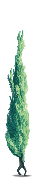 Fichier:RL Cypress.png