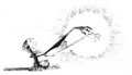 Concept art de Polokus en train d'utiliser ses pouvoirs magiques. On peut notamment le voir dans le manuel anglais de Rayman Revolution.