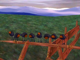 Les oiseaux de la Lande aux Esprits Frappés.